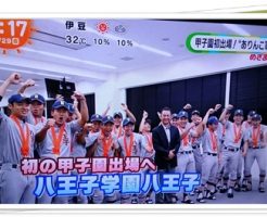 八王子高校野球部