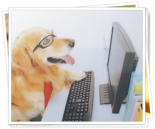 PCを見る犬