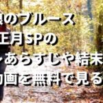義母と娘のブルース2022お正月SPのネタバレあらすじや結末は？見逃し動画を無料で見る方法も！