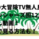 ナスD大冒険TV無人島SPフィッシャーズ回12/29の見逃し動画！無料で見る方法も！