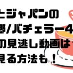 スカッとジャパンの休井美郷/バチェラー4出演回2/28の見逃し動画は？無料で見る方法も！