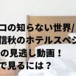マツコの知らない世界/瀧澤信秋のホテルスペシャル3/15の見逃し動画！無料で見るには？
