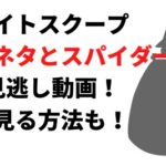 探偵ナイトスクープ上司のネタとスパイダーマン回4/8の見逃し動画！無料で見る方法も！