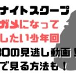 探偵ナイトスクープウミガメになって産卵したい少年回9/30の見逃し動画！無料で見る方法も！