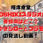 相席食堂YOSHIKIスタジオの養蜂場はどこ？つぶやきシローとフジモン回の見逃し動画！