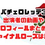 バチェロレッテ3出演者の動画やプロフィールまとめ！ファイナルローズは誰？